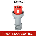 IP67 Üç Fazlı 63A 125A 380V Endüstriyel Fiş ve Soket IEC Standardı