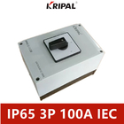 Dört Kutuplu IP65 Elektrik Enversör Kam Anahtarı 100A 230-440V